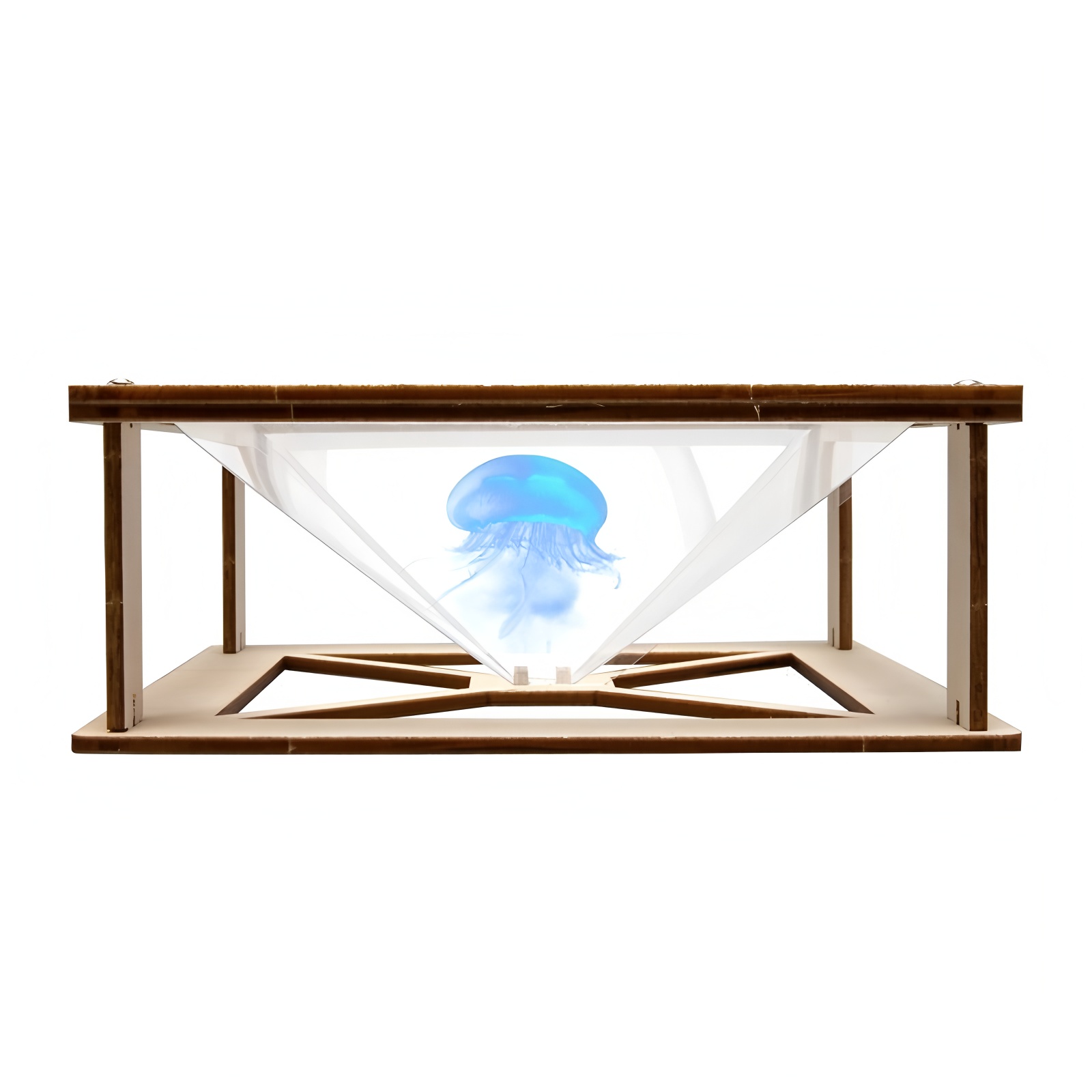 Children's science and educati - Science Max 评论和价格