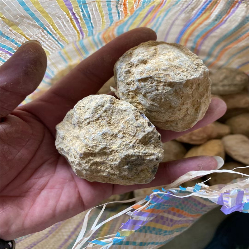 Break Your Own Geodes Natural  - Geode Crystal Break 评论和价格