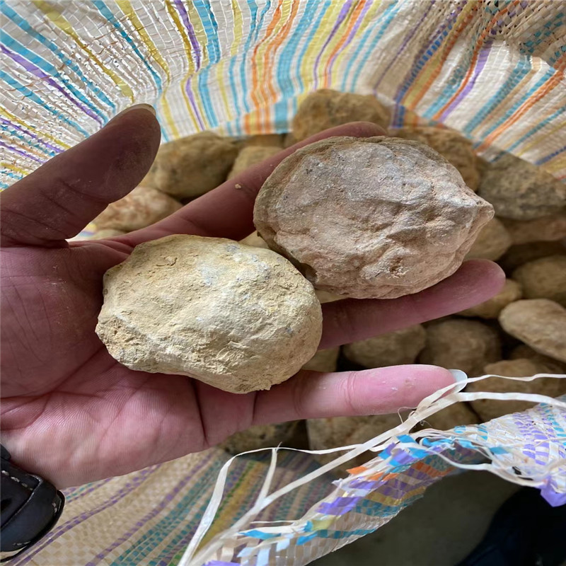 Break Your Own Geodes Natural  - Geode Crystal Break 评论和价格