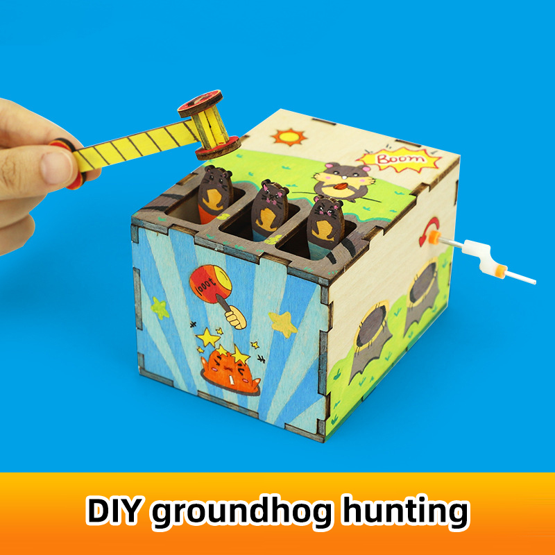 DIY Mouse Game Science and Tec - Science And Invention 评论和价格