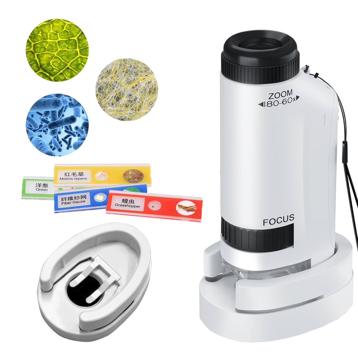 Mini Microscope Handheld Toys  - Science Max 评论和价格